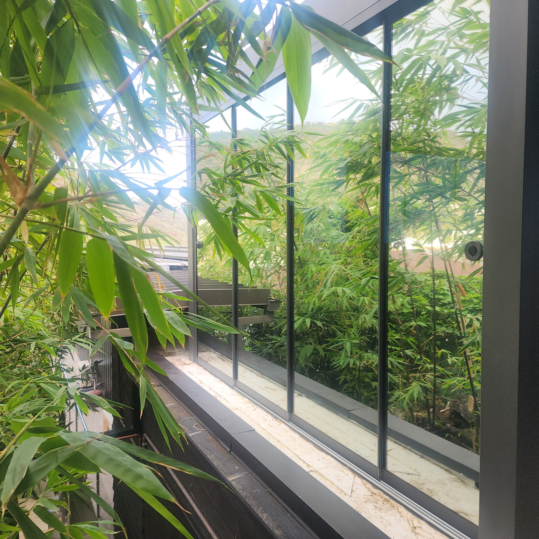 Residential interior window film by Honolulu Tinting Co.